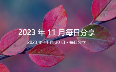 哎呦不错网:2023 年 11月每日分享汇总合集完结-哎呦不错往前方资源网