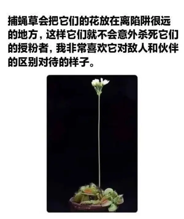 简单图床 - EasyImage